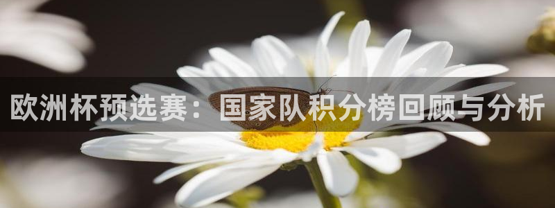 世界杯欧洲预选赛赛程：欧洲杯预选赛：国家队积分榜回顾与分析