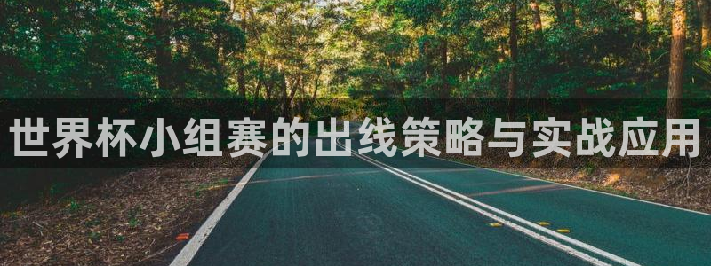 世界杯预赛赛程：世界杯小组赛的出线策略与实战应用