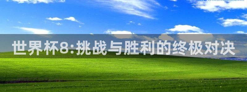 2026年世界杯时间表：世界杯8:挑战与胜利的终极对决