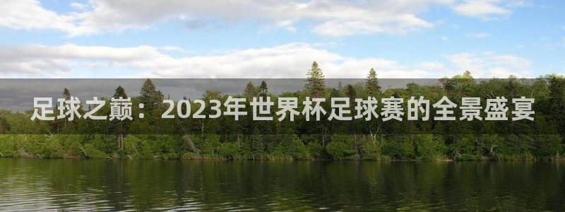 足球世预赛：足球之巅：2023年世界杯足球赛的全景盛宴