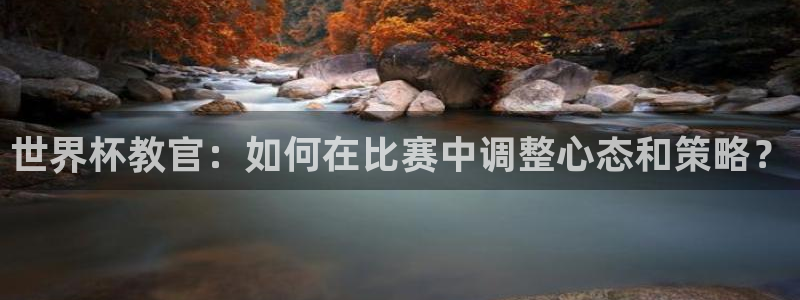 世界杯欧洲区世预赛赛程：世界杯教官：如何在比赛中调整心态和策略？