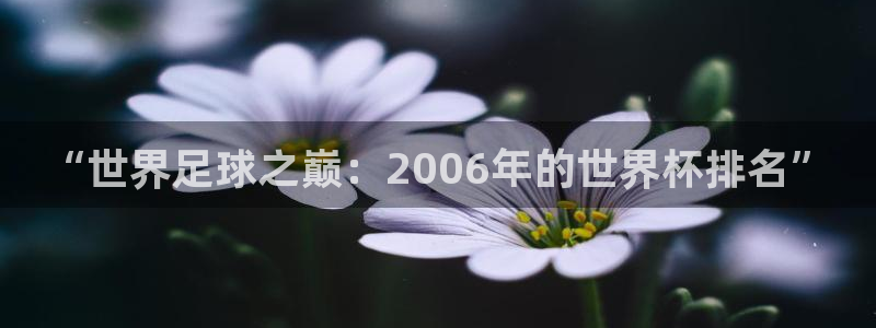 世界杯预选赛赛程表：“世界足球之巅：2006年的世界杯排名”