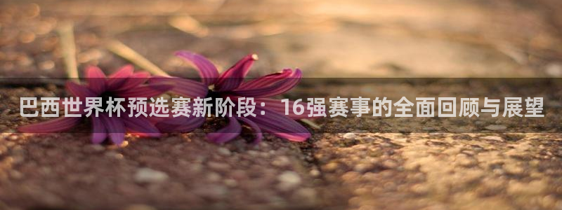 世界杯亚洲区预选赛赛程表：巴西世界杯预选赛新阶段：16强赛事的全面回顾与展望
