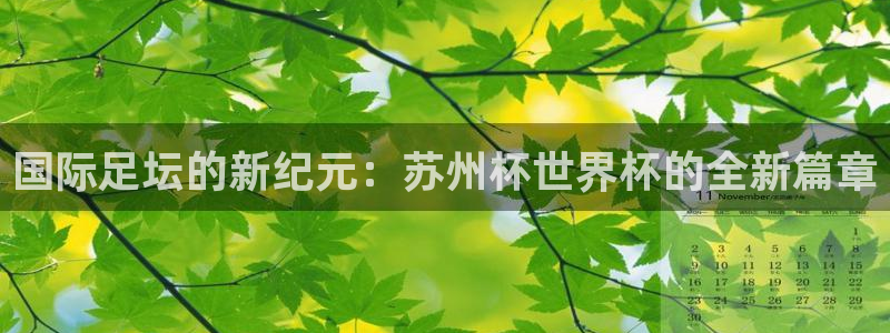世界杯直播高清：国际足坛的新纪元：苏州杯世界杯的全新篇章