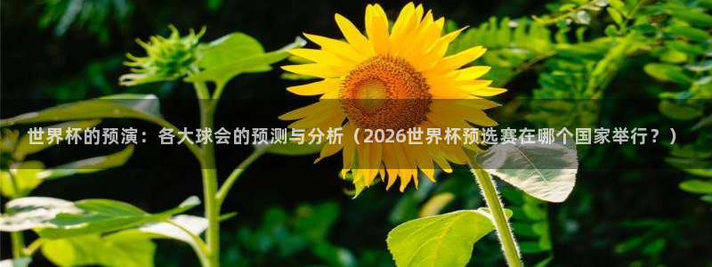 欧洲世界杯预选赛：世界杯的预演：各大球会的预测与分析（2026世界杯预选赛在哪个国家举行？）