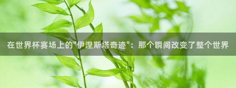 今年世界杯：在世界杯赛场上的\