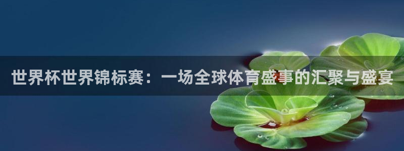 世界杯时间：世界杯世界锦标赛：一场全球体育盛事的汇聚与盛宴