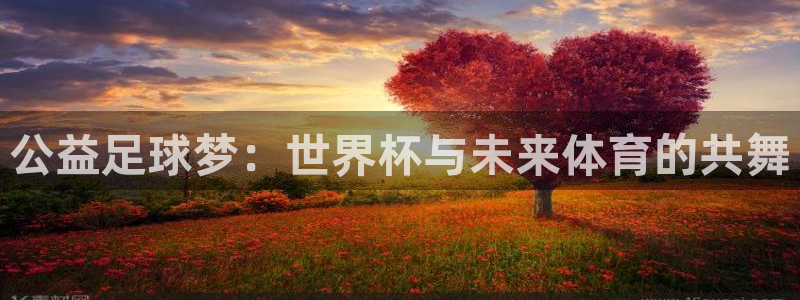 2026葡萄牙杯赛程表：公益足球梦：世界杯与未来体育的共舞