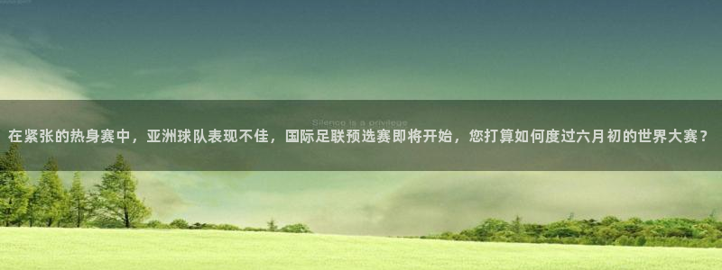 2026世界杯预选赛：在紧张的热身赛中，亚洲球队表现不佳，国际足联预选赛即将开始，您打算如何度过六月初的世界大赛？